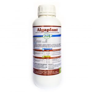 Algaplant