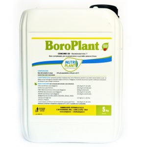 BoroPlant