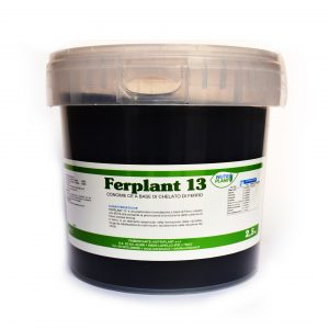 Ferplant 13