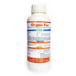 Organ Fer