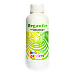 Organfer