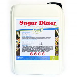 Sugar Ditter